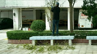 小花園裏的生命課題