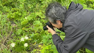 蘭遊世界──日本之北海道篇