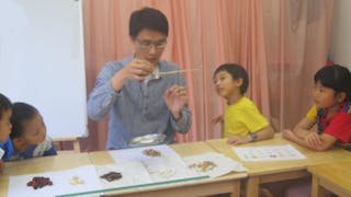 幼兒也能認識中醫：以蒙特梭利方法啟發健康意識與中華文化根基