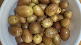 黃皮──酸甜生津的夏日嶺南佳果