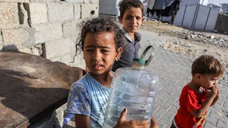 走害人害己之路