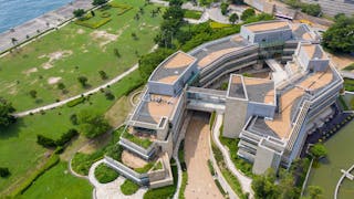 AI驅動新質生產力 港宜五方向發力