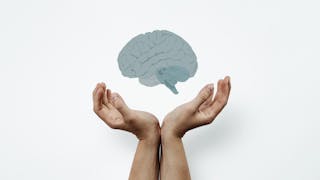大腦閒着沒事 煩惱就會找事