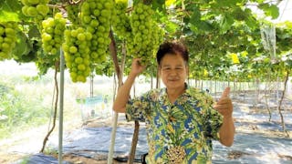 梁福元聚福之人
