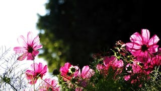 你可以選擇 你可以選擇