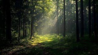 粵語解密：蔽翳 (bɐi33 ɐi33)