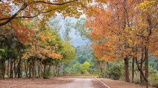 白露 香港又迎來一個秋