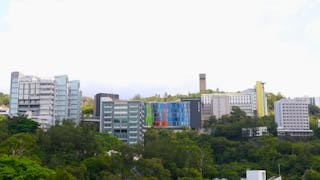香港中文大學──弘揚書院制傳統 培育跨學科人才