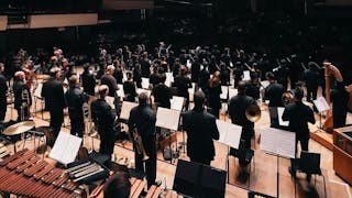 首位「雙非」行政總裁