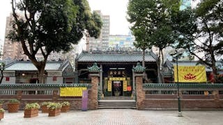大榕樹下的我們