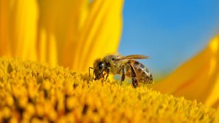 粵語解密：耾耾聲、老表