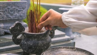 霜降無聲 一夕白頭