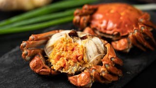 寒露 秋意闌珊蟹飄香