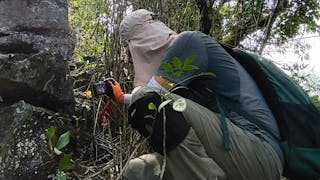 蘭遊世界──神州系列之廣西續篇