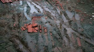 淨土有糞堆嗎？