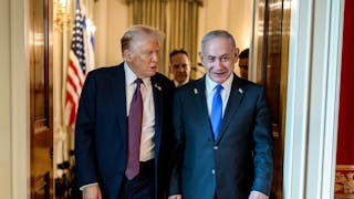 日益衰落的保護神