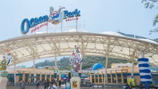 海洋公園 是虧損擴大定轉虧為盈？