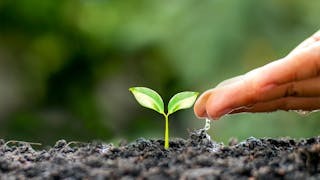 人生的彩蛋 人生的彩蛋