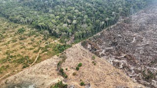 成立國家公園與保護區 不見得對大自然有好處？