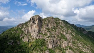 獅子山精神 茶餐廳默契