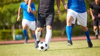 香港和澳門的足球改革、文化和現代化