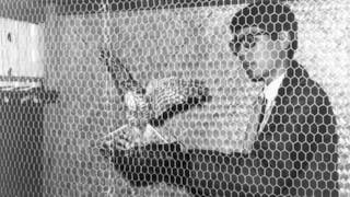 拔萃外傳 百年另類 拔萃外傳 百年另類