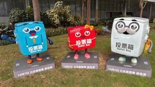 素人從政得與失