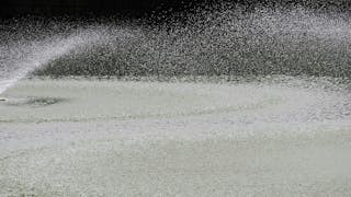 不識本心 學法無益