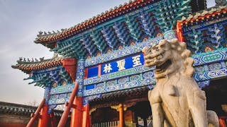 齊魯文化行 齊魯文化行