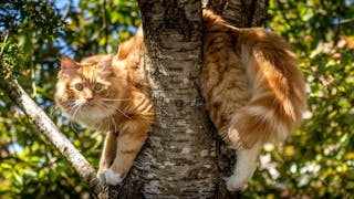 粵語怎樣說卡住了? 粵語怎樣說卡住了?