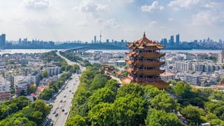 中國的混合制社會