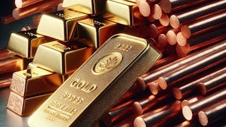 貨幣系統不穩 增持實物資產