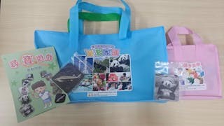 《「童」繫家國之校本應用手冊》 讓幼兒玩學並重認識國家