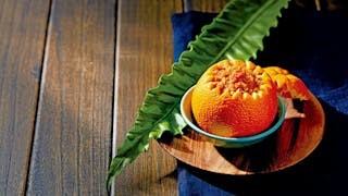 悠久深厚的宋宴