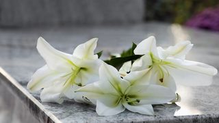 給同年同月同日生的你