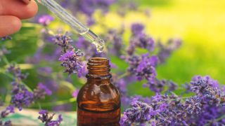 芳香停頓：緊張腦袋放鬆術