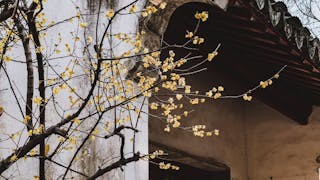 小寒不寒 感恩流年安暖