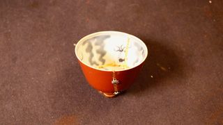 每樣事物都有其存在的價值