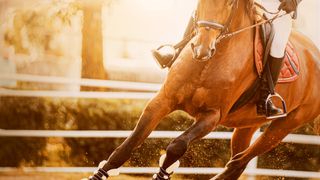 中西樂韻賀馬年 中西樂韻賀馬年