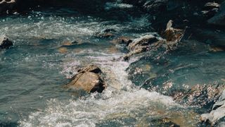 上善若水──市場力量的本質