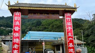 深入深山──北緯21度的回甘