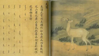 《山海經》的水獸──「遇水則發」怎麼變卦了？