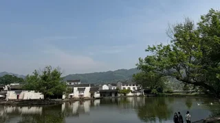 徽茶深處