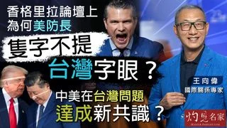 國際關係專家王向偉：香格里拉論壇上，為何美防長隻字不提「台灣」字眼？中美在台灣問題達成新共識？