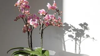 一念放下，萬般自在