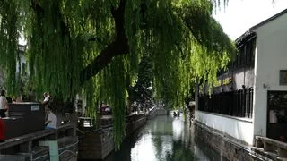 肉浪肉與嫡親外婆──溶化在幽蘭巷的小雪球