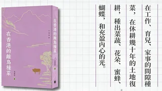 葛亮：見南山