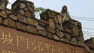 眾生未必平等 眾生未必平等