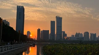 洛伊鄉愁