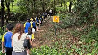 薪火相傳：一場雨中的本草尋源之旅